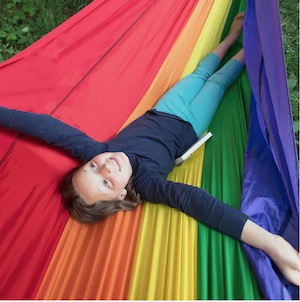 Harvey Milk and the Rainbow Flag with Symbols of Us: Identity Capes and Flags