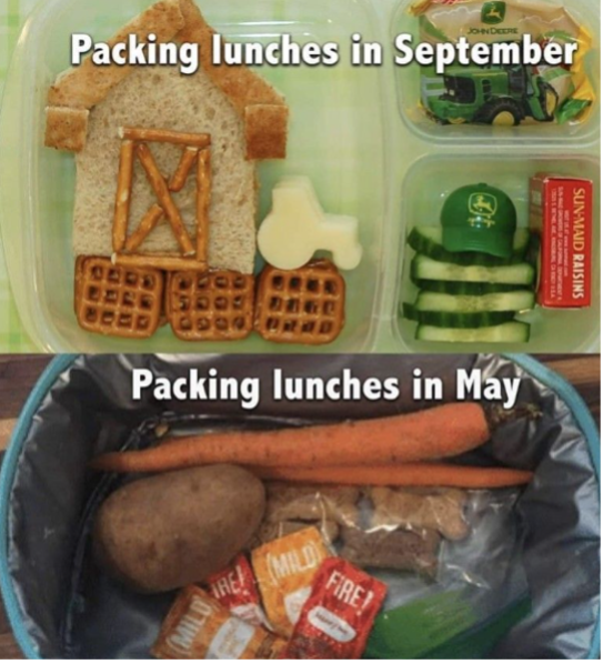 lunch box