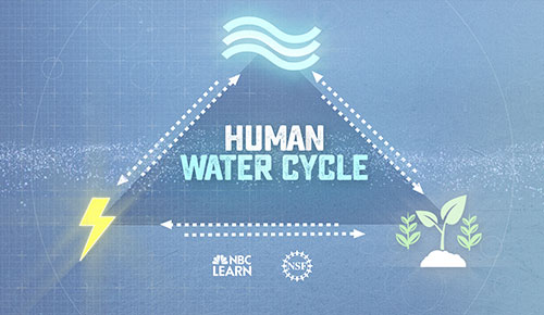 Human Water Cycle: Drinking Water