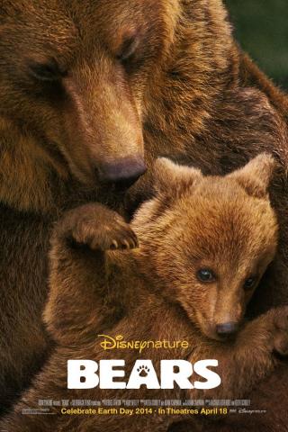 Disney Nature Bears Educator Guide